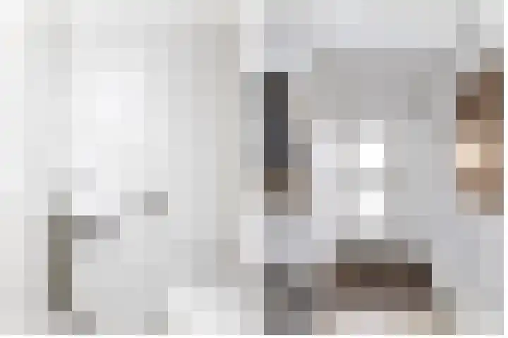 Koekoekstraat 4 Helmond thumbnail 9