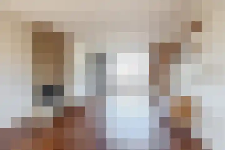 Koekoekstraat 4 Krimpen aan den IJssel thumbnail 11