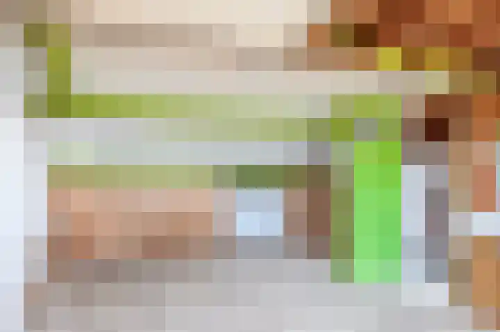 Koekoekstraat 4 Krimpen aan den IJssel thumbnail 21
