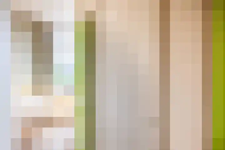 Koekoekstraat 4 Krimpen aan den IJssel thumbnail 23