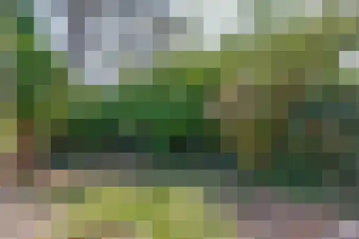 Koekoekstraat 4 Krimpen aan den IJssel thumbnail 29
