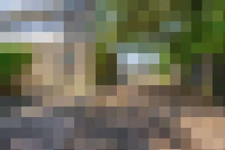 Koekoekstraat 4 Krimpen aan den IJssel thumbnail 32