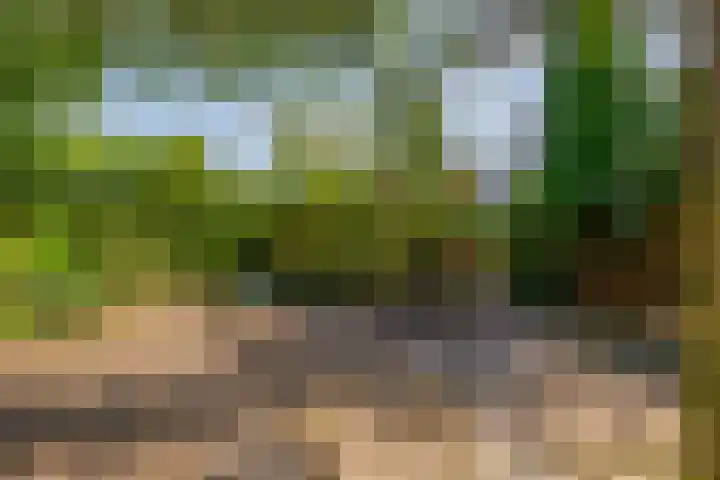 Koekoekstraat 4 Krimpen aan den IJssel thumbnail 33