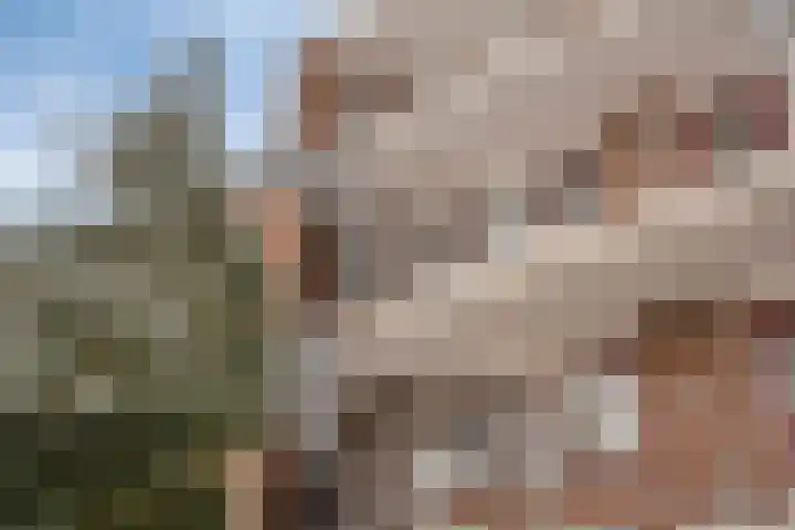 Koekoekstraat 40 Assen thumbnail 5
