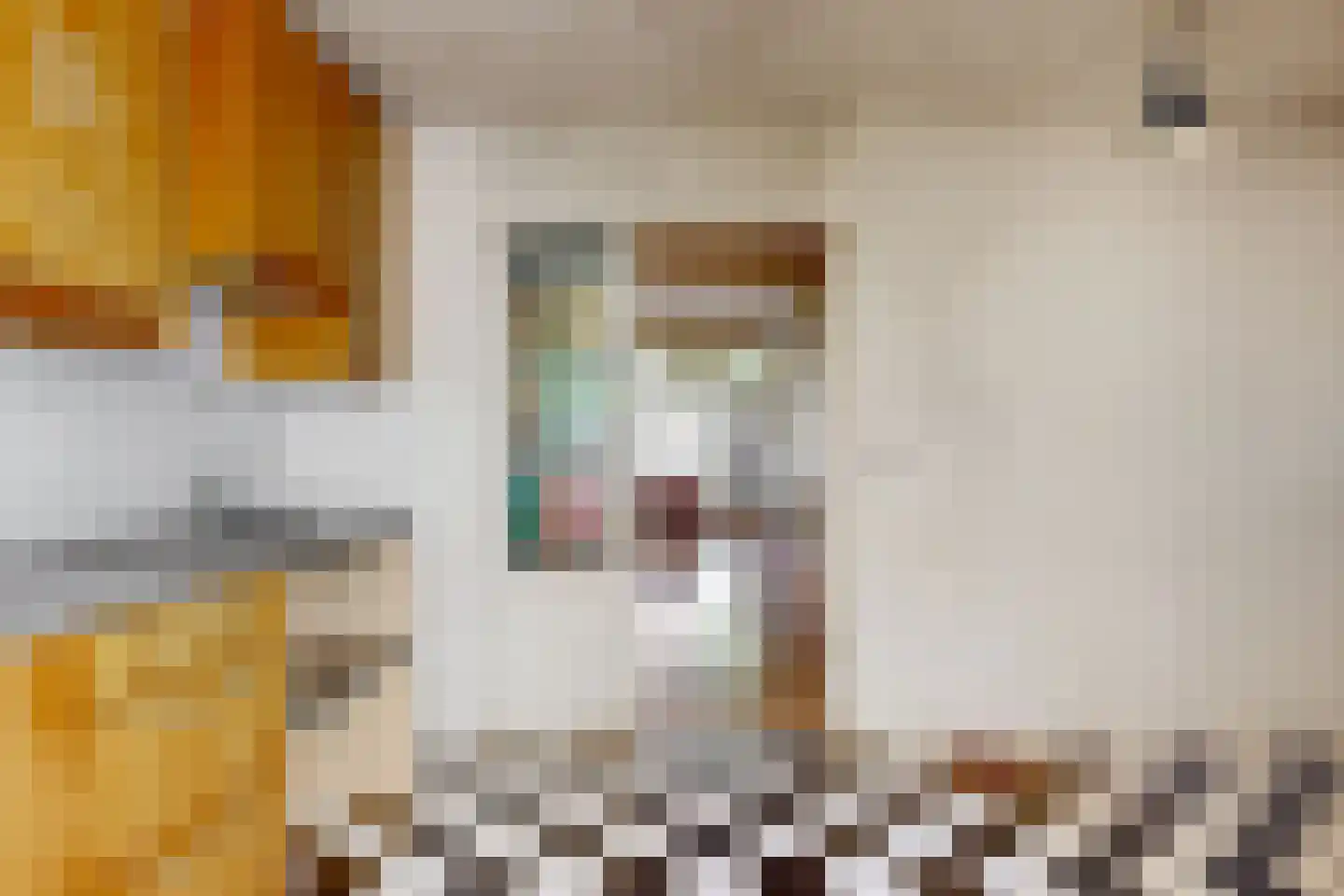 Koekoekstraat 41 Utrecht thumbnail 9