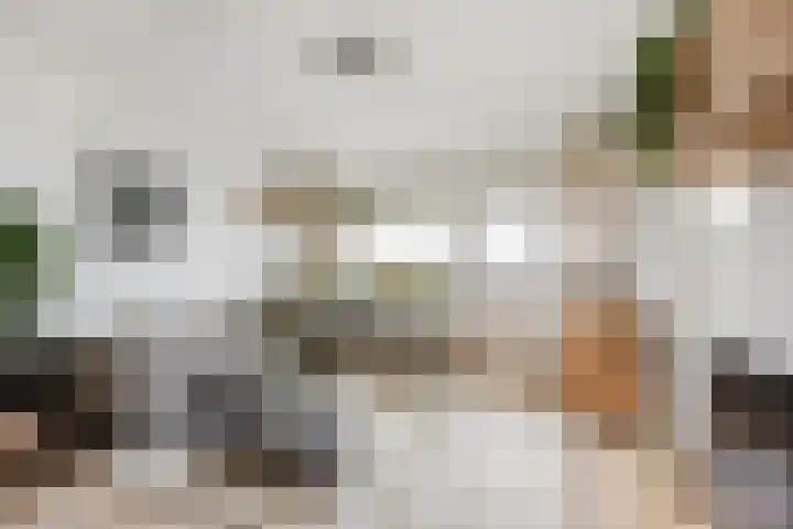 Koekoekstraat 42 Leiderdorp thumbnail 4