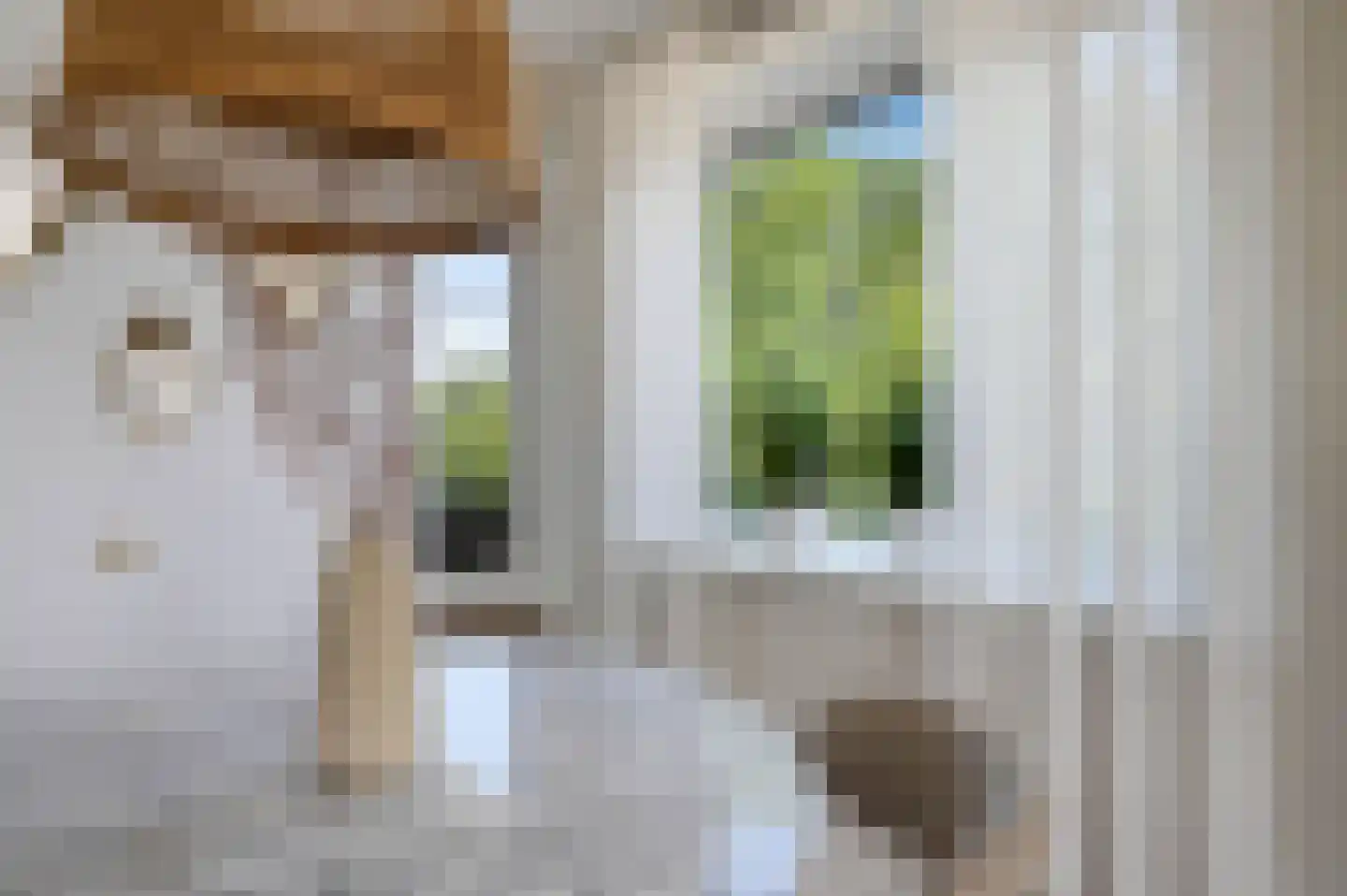 Koekoekstraat 44 Maassluis thumbnail 14