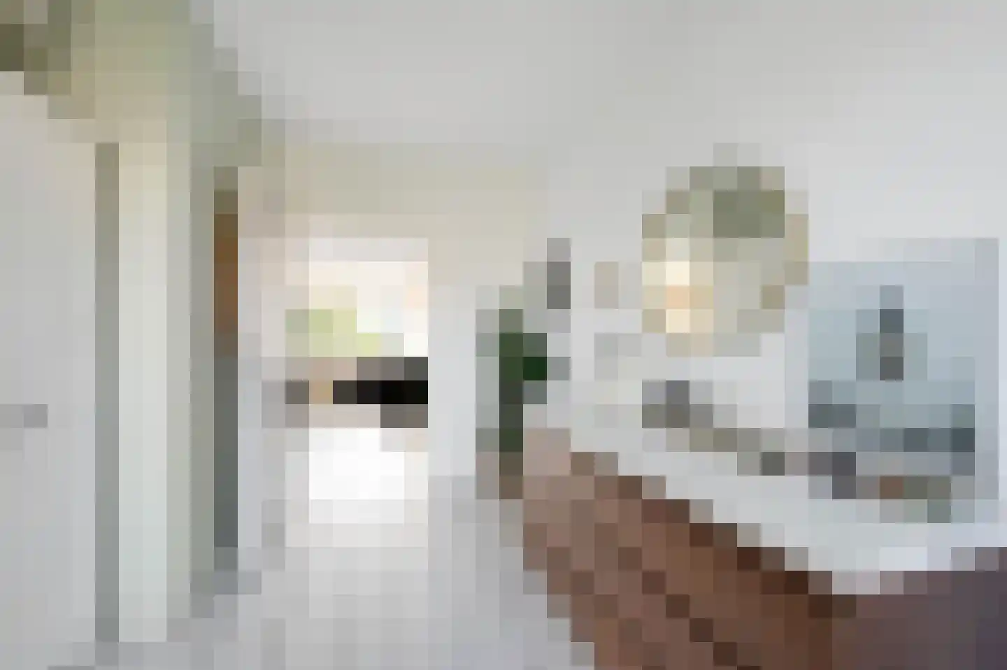 Koekoekstraat 44 Maassluis thumbnail 29