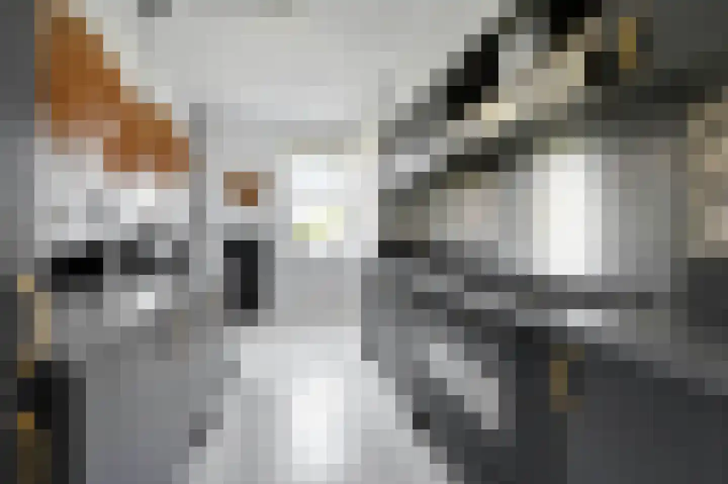 Koekoekstraat 44 Maassluis thumbnail 7