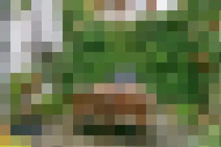 Koekoekstraat 45 Utrecht thumbnail 8