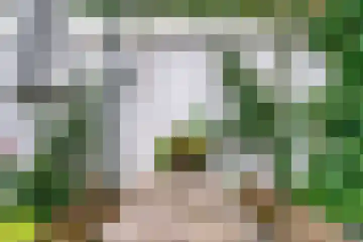 Koekoekstraat 45 Utrecht thumbnail 9