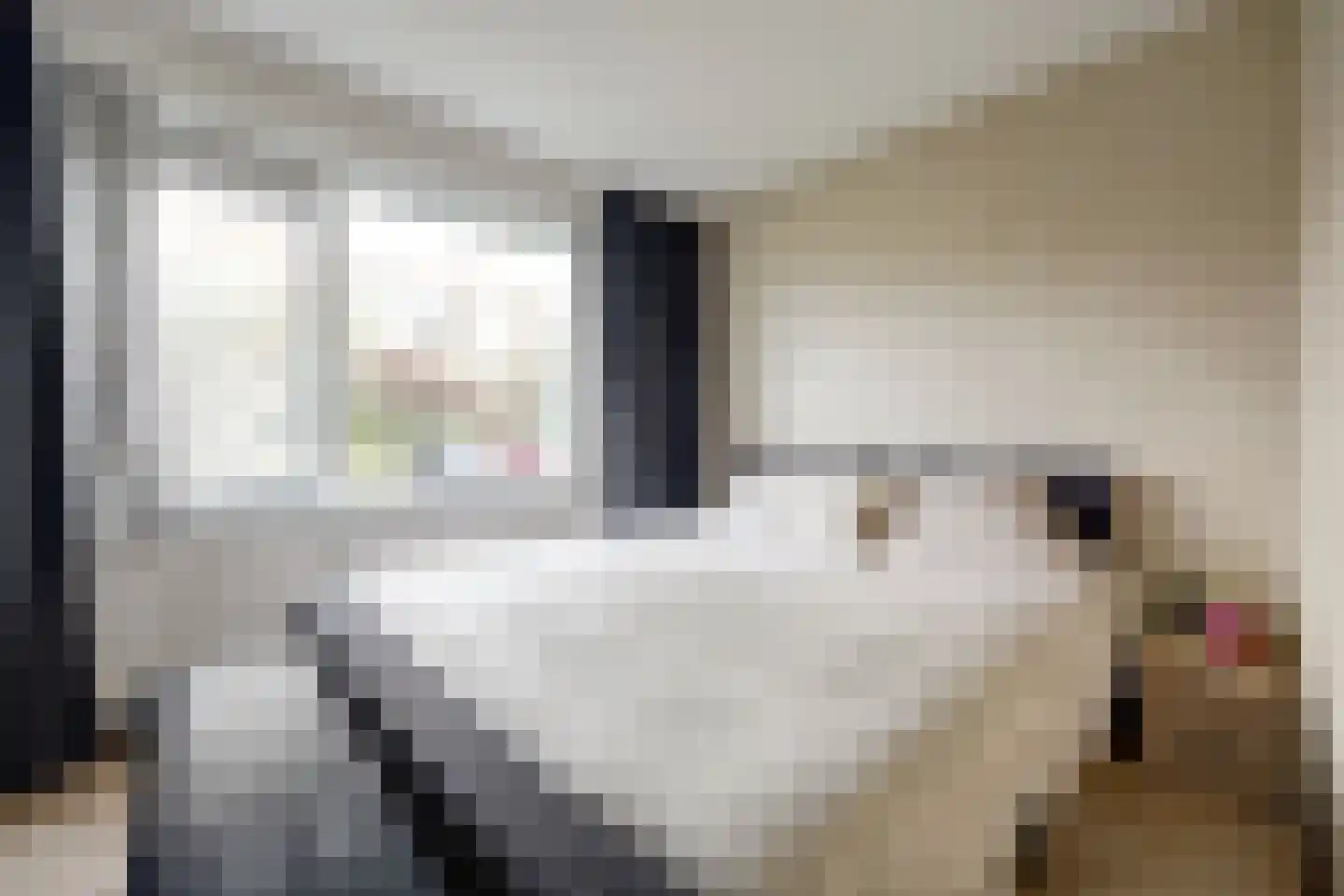 Koekoekstraat 48 Maassluis thumbnail 23