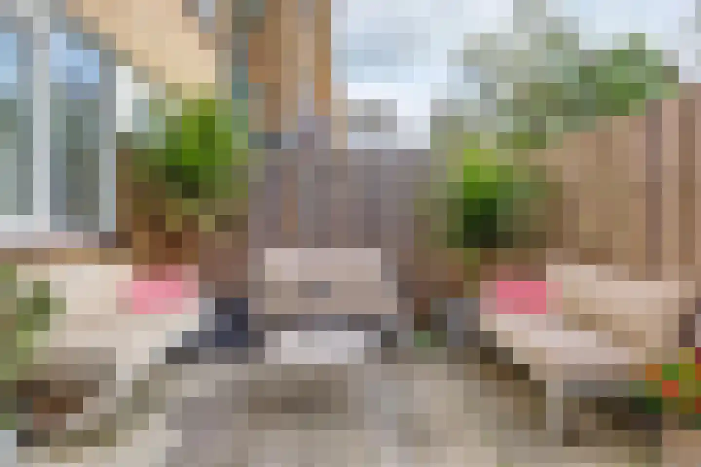 Koekoekstraat 48 Maassluis thumbnail 30