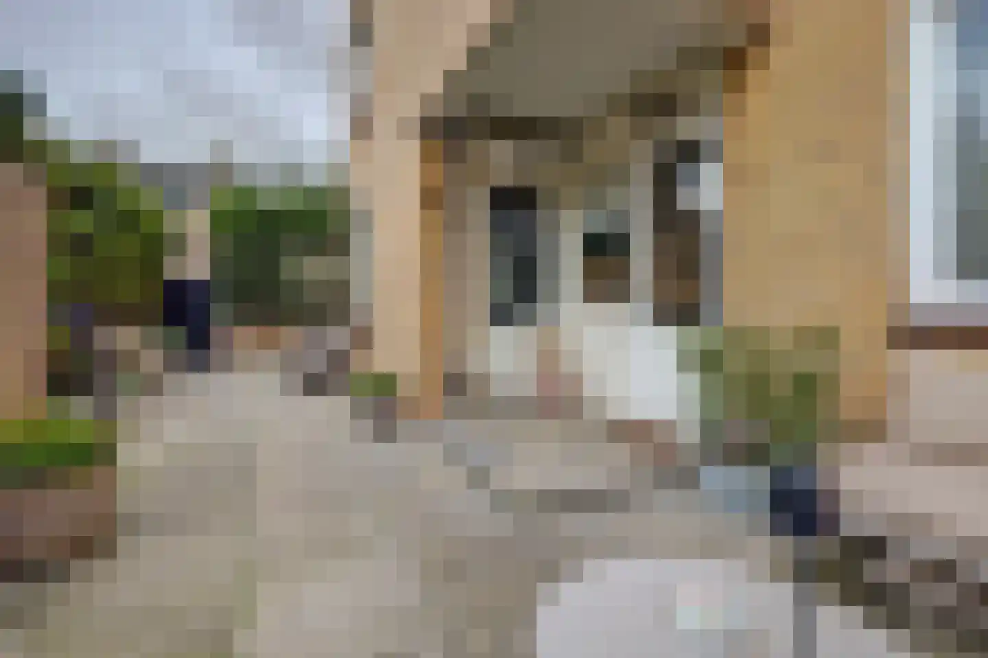 Koekoekstraat 48 Maassluis thumbnail 32