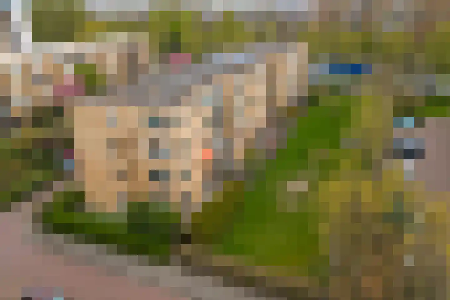 Koekoekstraat 48 Maassluis thumbnail 37
