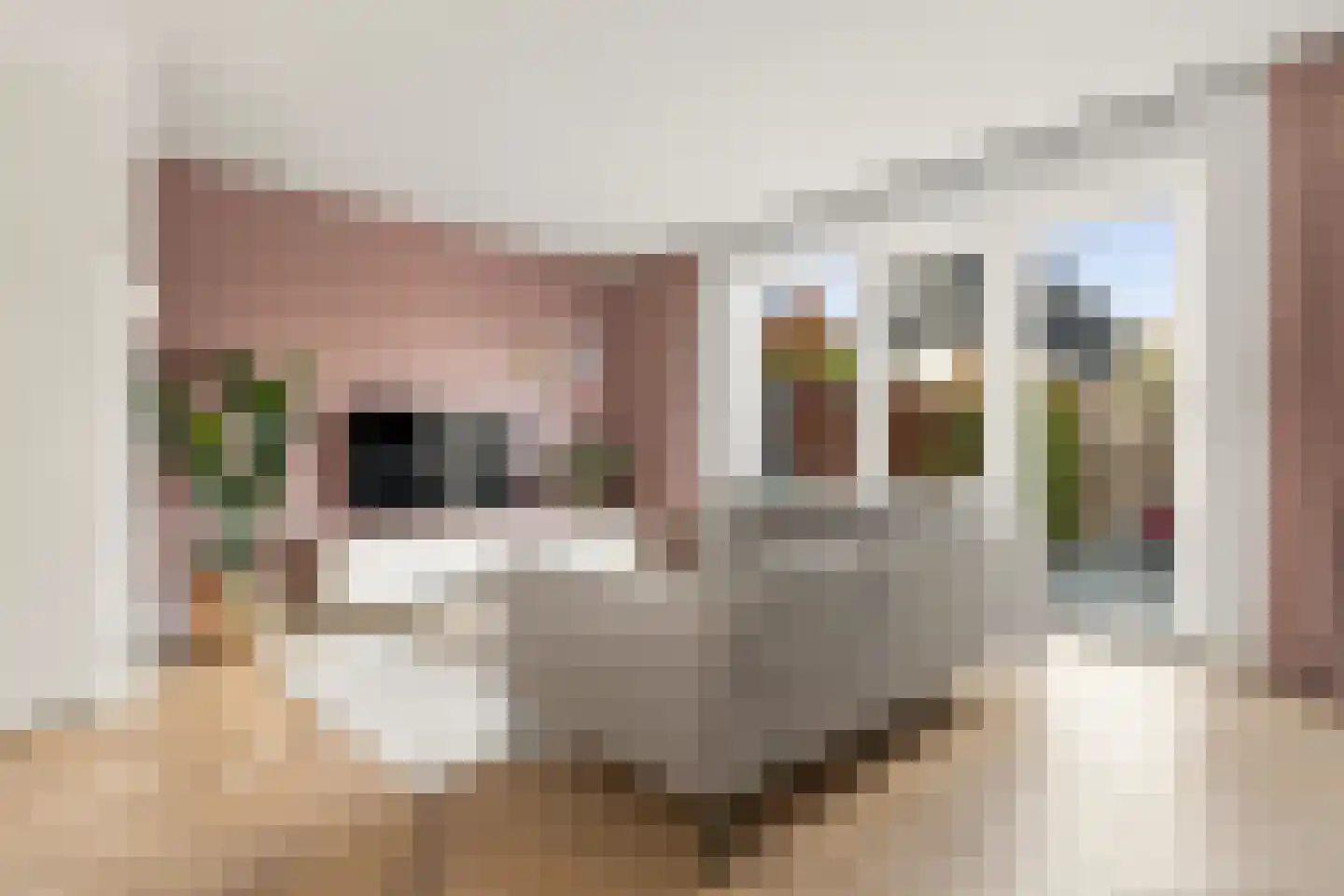 Koekoekstraat 5 Heerhugowaard thumbnail 6