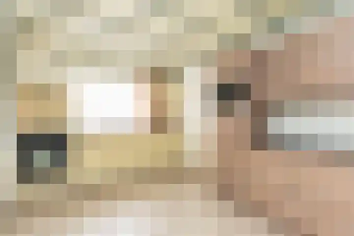Koekoekstraat 5 Sprundel thumbnail 11