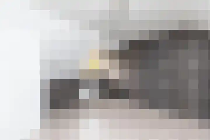 Koekoekstraat 5 Sprundel thumbnail 15