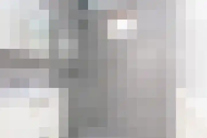 Koekoekstraat 5 Sprundel thumbnail 21