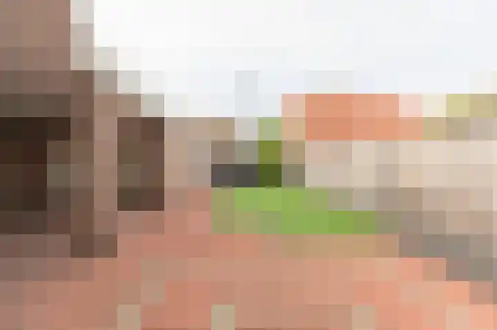 Koekoekstraat 5 Sprundel thumbnail 24
