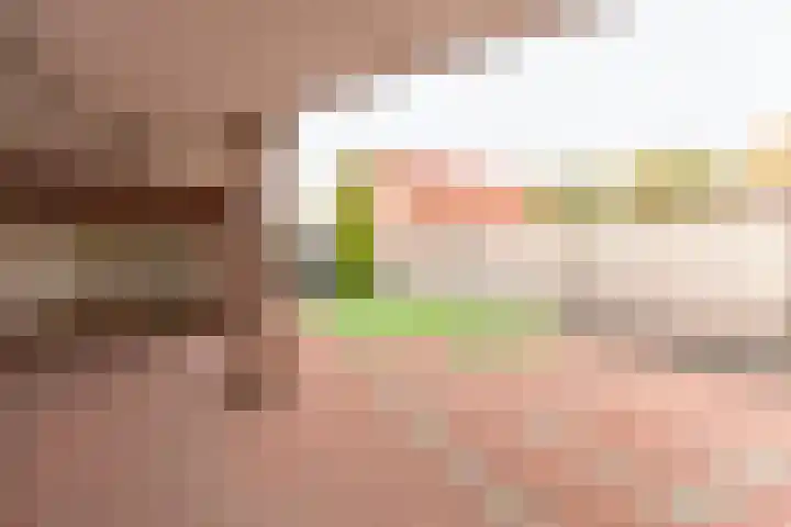 Koekoekstraat 5 Sprundel thumbnail 25