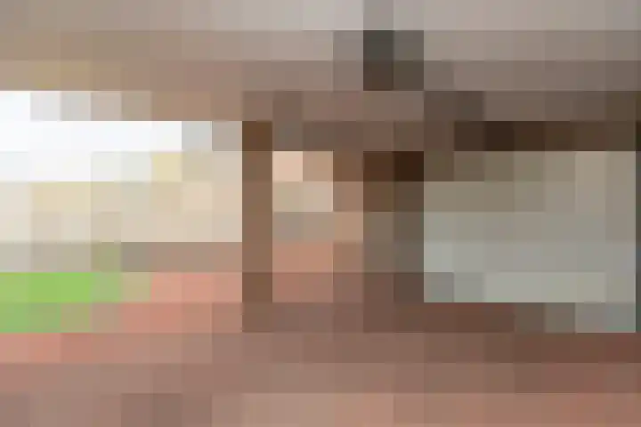 Koekoekstraat 5 Sprundel thumbnail 30