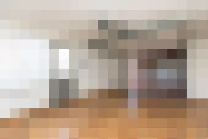 Koekoekstraat 5 Sprundel thumbnail 33