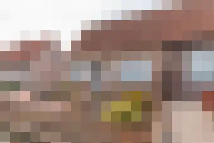 Koekoekstraat 5 Sprundel thumbnail 46