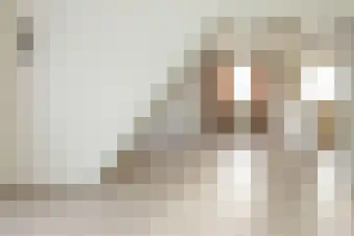 Koekoekstraat 5 Sprundel thumbnail 6