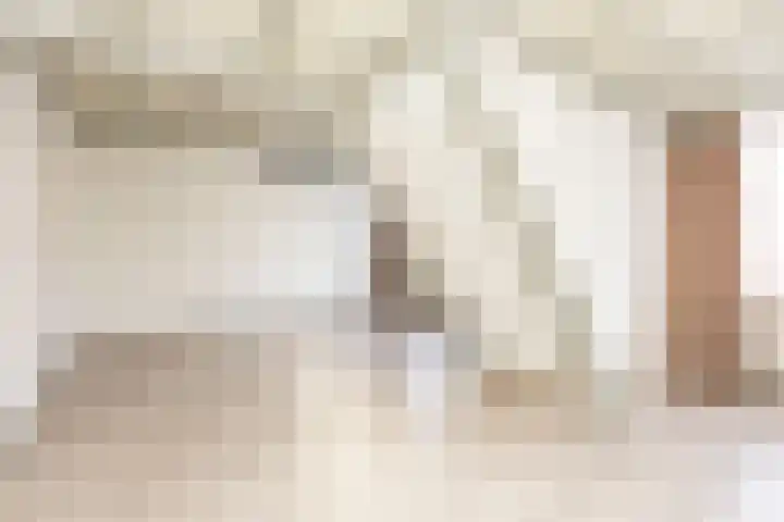 Koekoekstraat 5 Sprundel thumbnail 7