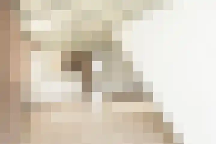 Koekoekstraat 5 Sprundel thumbnail 8