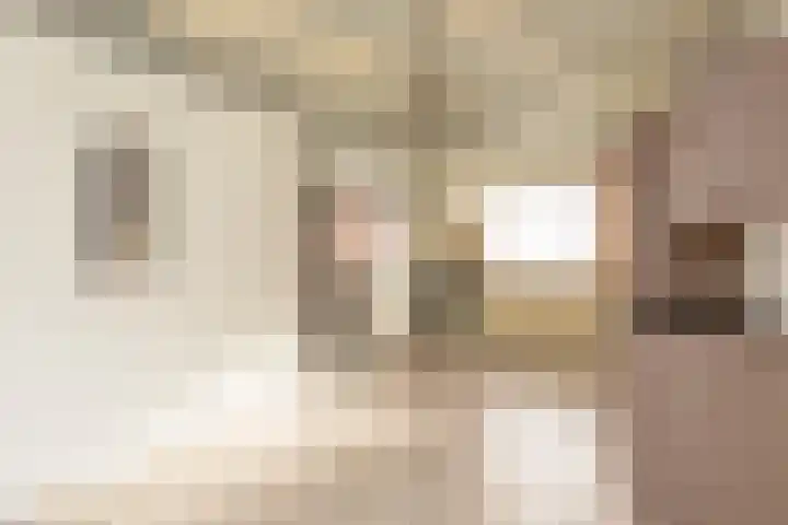 Koekoekstraat 5 Sprundel thumbnail 9