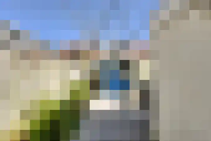 Koekoekstraat 50 Breda thumbnail 33