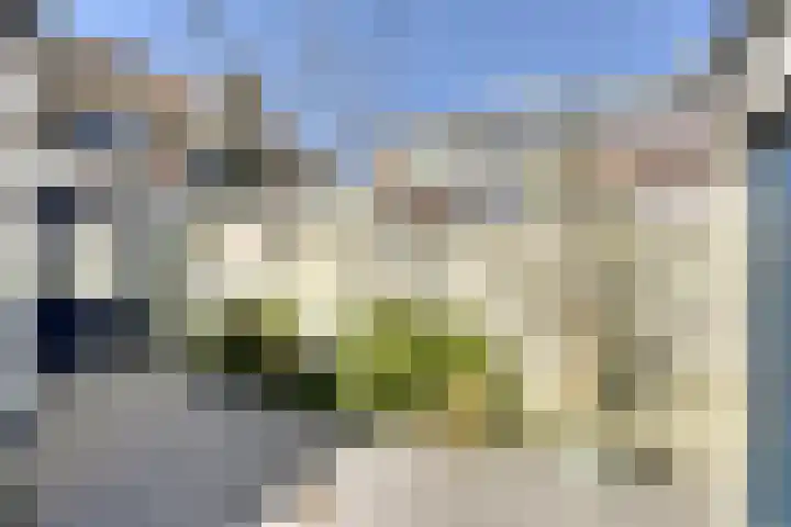 Koekoekstraat 50 Breda thumbnail 36