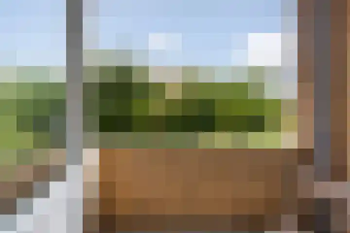 Koekoekstraat 50 Maassluis thumbnail 25