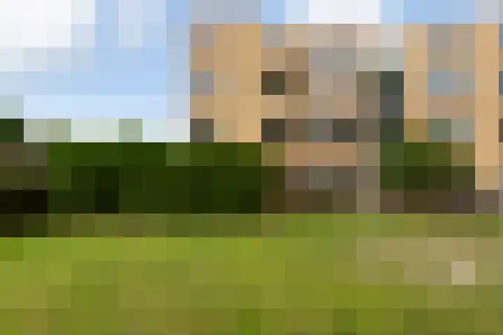 Koekoekstraat 50 Maassluis thumbnail 7