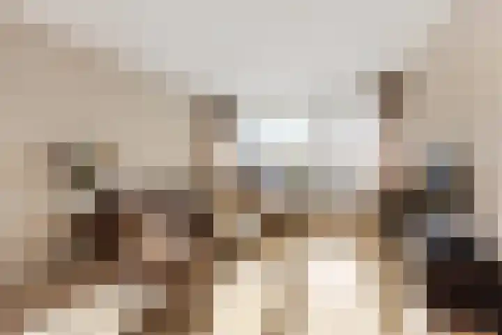 Koekoekstraat 57 Leiderdorp thumbnail 4