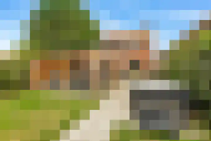 Koekoekstraat 59 Sprundel thumbnail 4