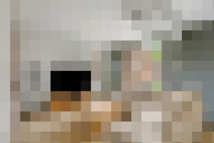 Koekoekstraat 59 Sprundel thumbnail 5