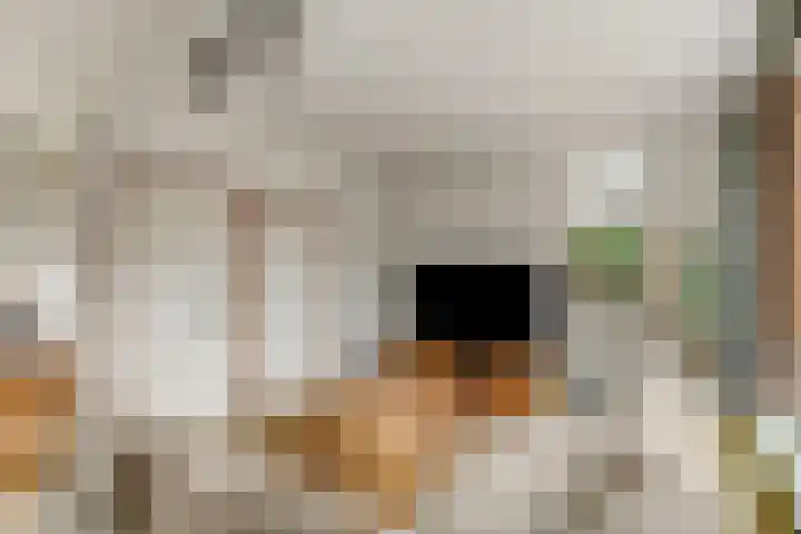 Koekoekstraat 59 Sprundel thumbnail 6