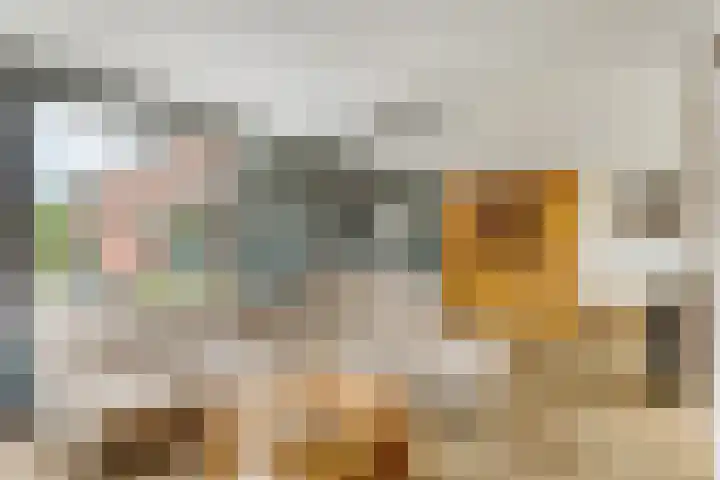 Koekoekstraat 59 Sprundel thumbnail 7
