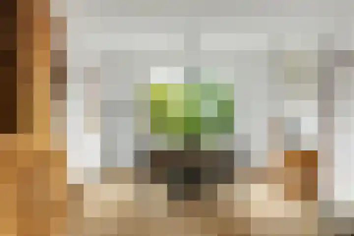 Koekoekstraat 59 Sprundel thumbnail 8