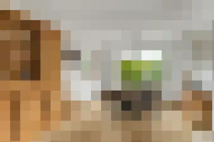 Koekoekstraat 59 Sprundel thumbnail 9