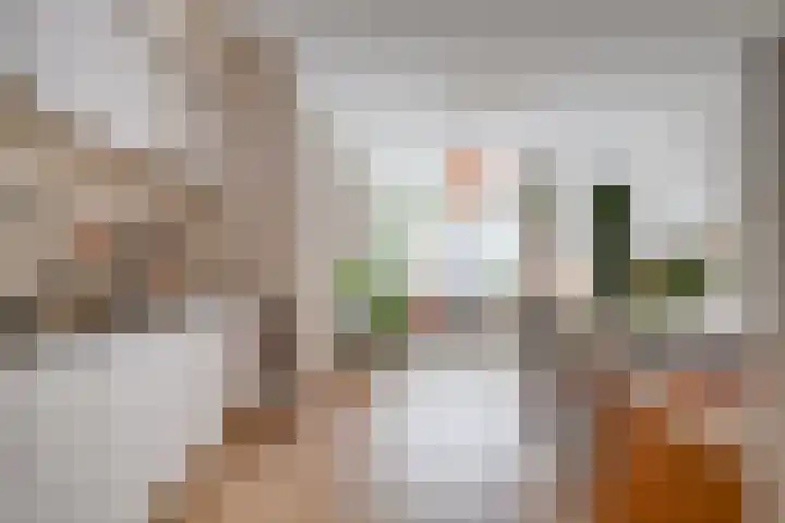 Koekoekstraat 6 A Utrecht thumbnail 12