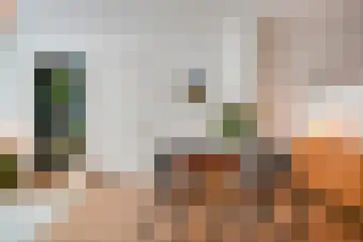Koekoekstraat 6 A Utrecht thumbnail 14