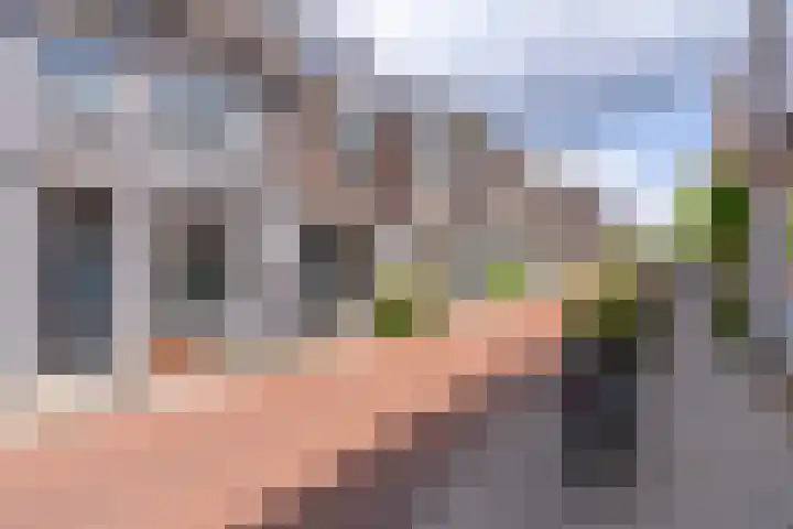 Koekoekstraat 6 A Utrecht thumbnail 21