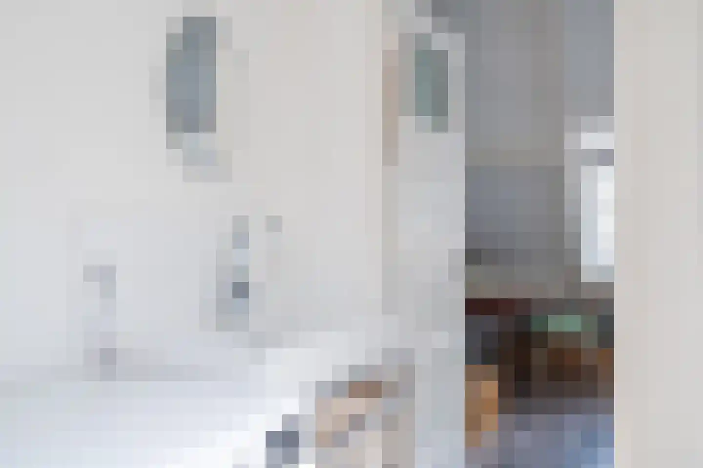 Koekoekstraat 6 BS Utrecht thumbnail 23