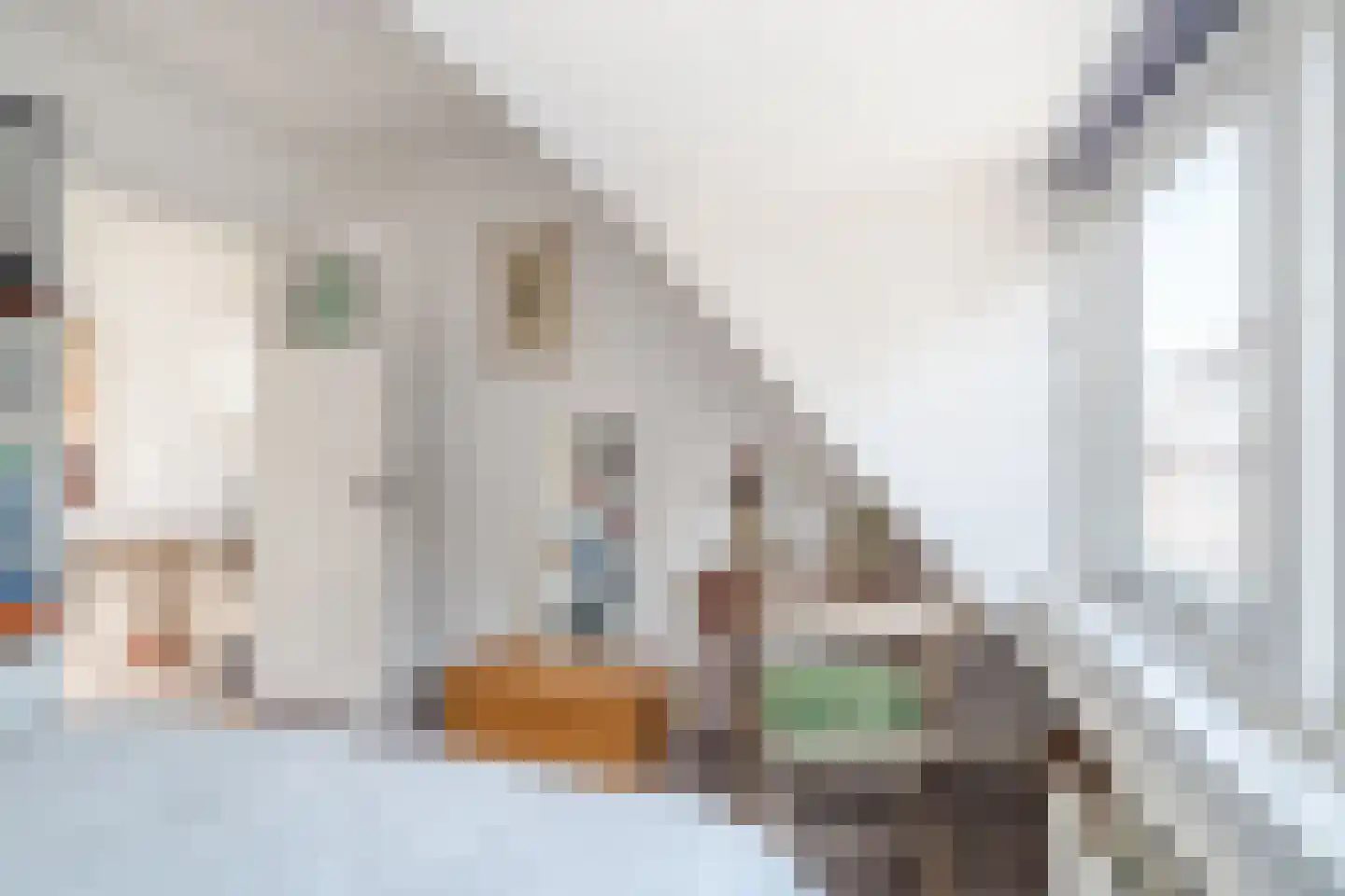 Koekoekstraat 6 BS Utrecht thumbnail 26