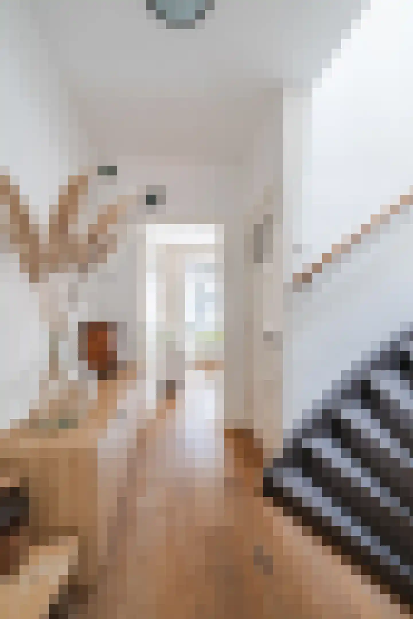 Koekoekstraat 6 BS Utrecht thumbnail 9