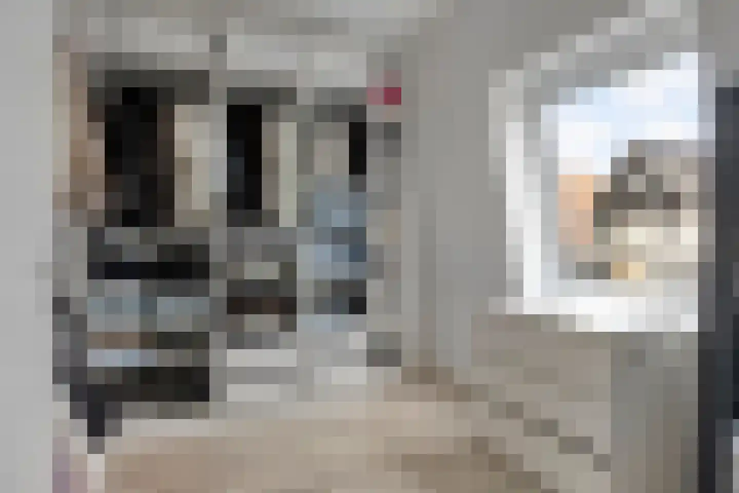 Koekoekstraat 6 Heerhugowaard thumbnail 18